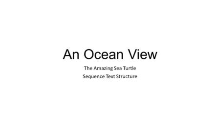 An Ocean View The Amazing Sea Turtle Sequence Text Structure.