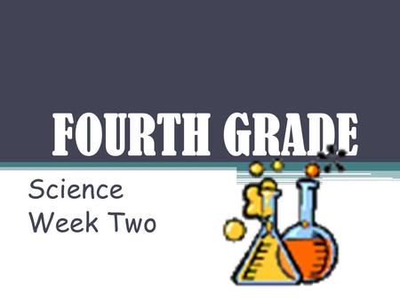 FOURTH GRADE Science Week Two. What are the two major groups that organisms can be classified into?