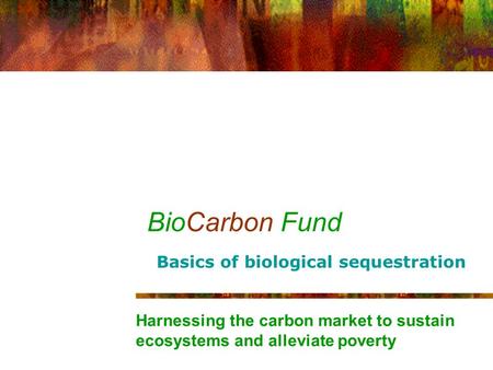 BioCarbon Fund Harnessing the carbon market to sustain ecosystems and alleviate poverty Basics of biological sequestration.