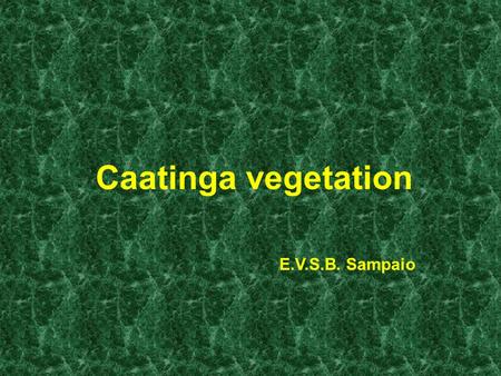 Caatinga vegetation E.V.S.B. Sampaio. General aspects - geography Large area (1 million km 2 ) All intertropical (2 – 18 o S) Low altitudes (