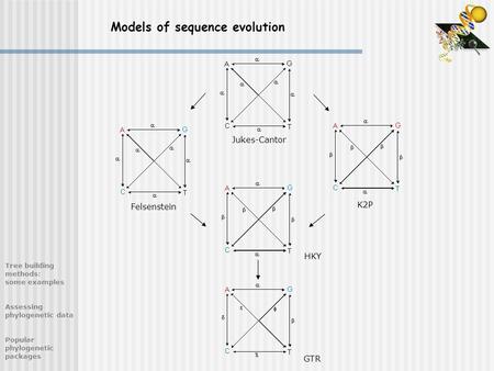 Models of sequence evolution GTR HKY Jukes-Cantor Felsenstein K2P Tree building methods: some examples Assessing phylogenetic data Popular phylogenetic.