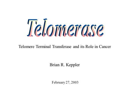 Telomere Terminal Transferase and its Role in Cancer Brian R. Keppler February 27, 2003.