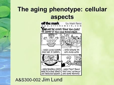 The aging phenotype: cellular aspects A&S300-002 Jim Lund.