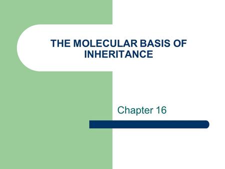 THE MOLECULAR BASIS OF INHERITANCE