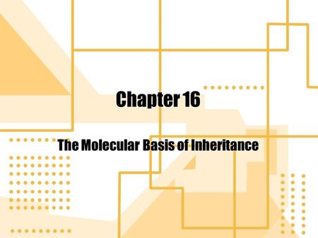 Chapter 16 The Molecular Basis of Inheritance. Determining the Chemical Composition of DNA After Morgan determined that genes were on chromosomes, scientists.