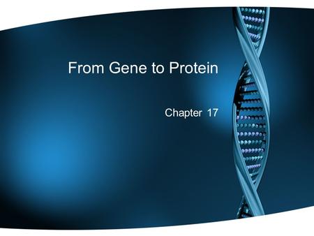 From Gene to Protein Chapter 17.