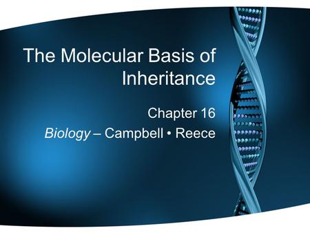 The Molecular Basis of Inheritance