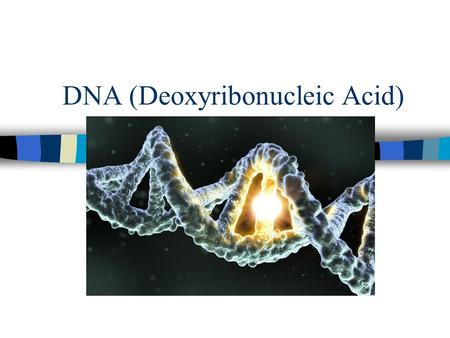 DNA (Deoxyribonucleic Acid) Scientific History n The march to understanding that DNA is the genetic material –T.H. Morgan (1908) –Frederick Griffith.