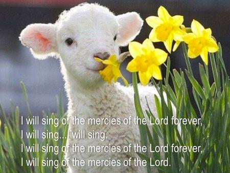 I will sing of the mercies of the Lord forever,I will sing of the mercies of the Lord forever, I will sing...I will sing.I will sing...I will sing. I will.