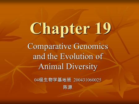 Chapter 19 Comparative Genomics and the Evolution of Animal Diversity 04 级生物学基地班 200431060025 陈源.