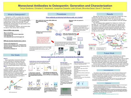 Monoclonal Antibodies to Osteopontin: Generation and Characterization Tanya Gordonov, Christian C. Kazanecki, Josephine Cassella, Lotte Schack, Bhumika.