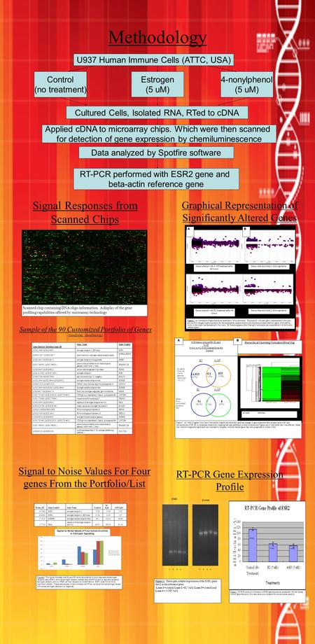 Methodology Control (no treatment) Estrogen (5 uM) 4-nonylphenol (5 uM) Cultured Cells, Isolated RNA, RTed to cDNA Data analyzed by Spotfire software RT-PCR.