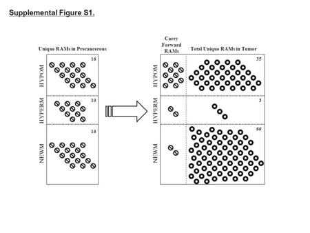 Unique RAMs in Precancerous Carry Forward RAMs Total Unique RAMs in Tumor HYPOM HYPERM NEWM 16 10 16 35 3 66 HYPOM HYPERM NEWM Supplemental Figure S1.