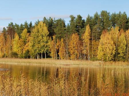 Sanna Nikunen DVM The Association for Animal Disease Prevention, Finland 25.10.2010.