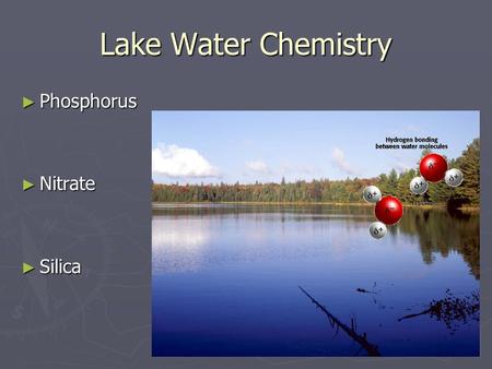 Lake Water Chemistry ► Phosphorus ► Nitrate ► Silica.