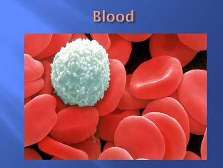  Nutrients from digestive tract to body cells  Oxygen from lungs to body cells  Wastes from cells to respiratory and excretory systems  Hormones to.