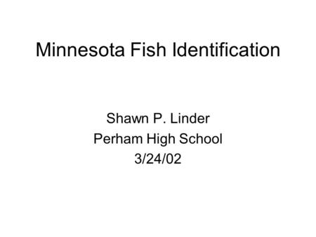 Minnesota Fish Identification Shawn P. Linder Perham High School 3/24/02.