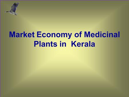 Market Economy of Medicinal Plants in Kerala. Table 1. Important medicinal plants demanded by user industry in Kerala (in quantity terms ) Scientific.