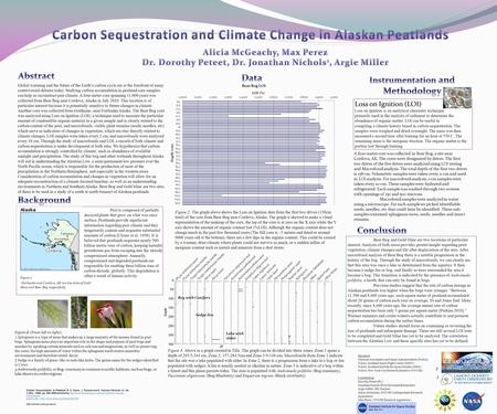 Bear Bog and Gold Mine are two locations of particular interest. Analysis of both areas provides greater insight regarding prior vegetation, climate changes.