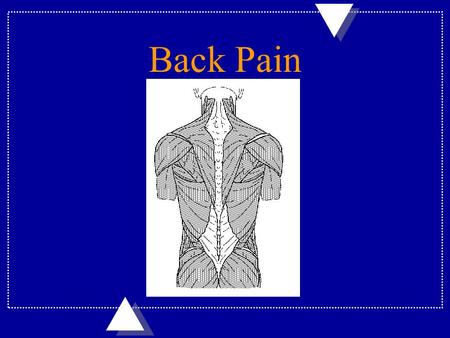 Back Pain. Spinal Abnormalities u Spinals abnormalities are either functional (muscle) or structural (bone) in nature. –Functional low back pain benefits.