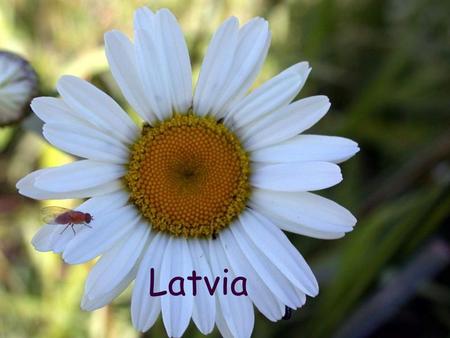 Latvia.