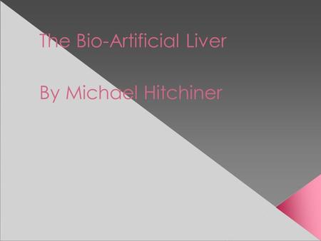 The Bio-Artificial Liver