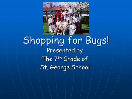 Shopping for Bugs! Presented by The 7 th Grade of St. George School.