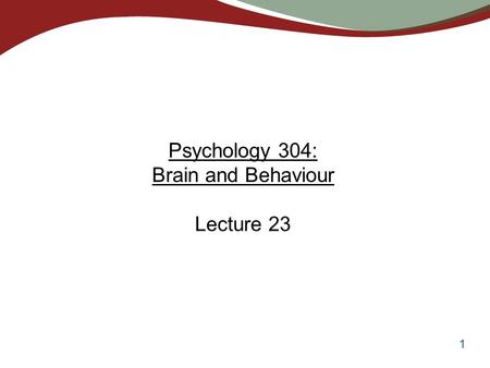 1 Psychology 304: Brain and Behaviour Lecture 23.