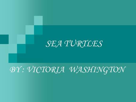 SEA TURTLES BY : VICTORIA WASHINGTON. TURTLES INFORMATION ABOUT SEA There is seven different species of sea turtles. There names are Leatherback,Loggerhead,