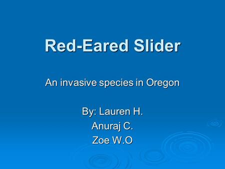 Red-Eared Slider An invasive species in Oregon By: Lauren H. Anuraj C. Zoe W.O.