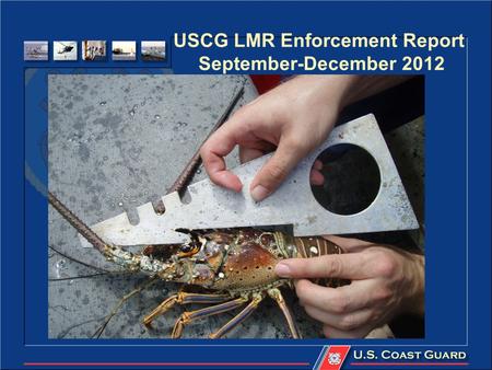 USCG LMR Enforcement Report September-December 2012.