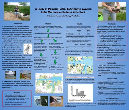 A Study of Painted Turtles (Chrysemys picta) in Lake Marburg at Codorus State Park Olivia Yaple, Department of Biology, York College Introduction Methods.