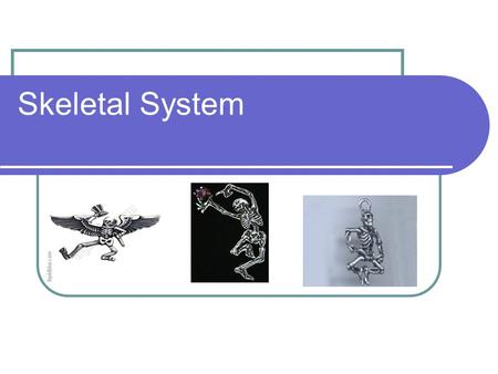 Skeletal System. Types of Skeletons There are 2 types of skeleton. Endoskeleton Exoskeleton Example: Humans Endoskeleton basically means that the skeleton.