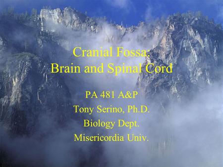 Cranial Fossa: Brain and Spinal Cord PA 481 A&P Tony Serino, Ph.D. Biology Dept. Misericordia Univ.