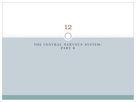 THE CENTRAL NERVOUS SYSTEM: PART B