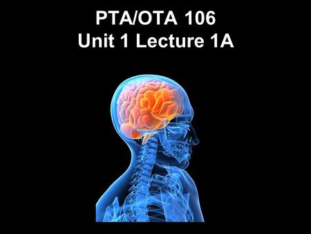 PTA/OTA 106 Unit 1 Lecture 1A. PTA 106 Regional Anatomy and Physiology Regional Anatomy- Focuses on the anatomical organization of specific areas of the.