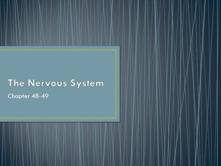 Chapter 48-49. The anatomy of a neuron. The mechanisms of impulse transmission in a neuron. The process that leads to release of neurotransmitter, and.