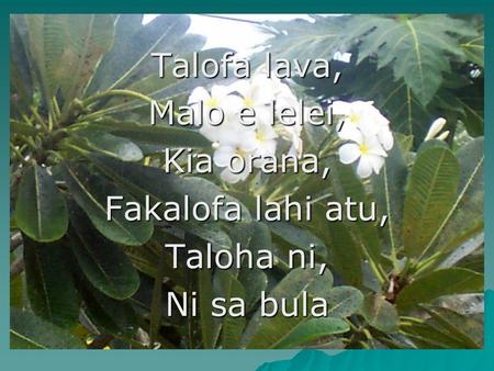 Talofa lava, Malo e lelei, Kia orana, Fakalofa lahi atu, Taloha ni, Ni sa bula.