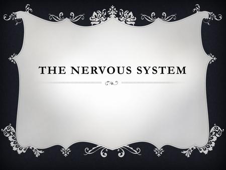 The Nervous System.