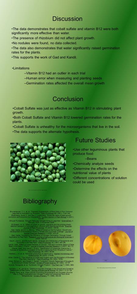 Future Studies Use other leguminous plants that produce food: –Beans Chemically analyze seeds Determine the effects on the nutritional value of plants.