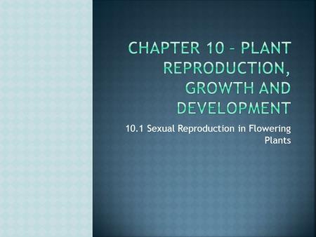10.1 Sexual Reproduction in Flowering Plants. Review from 29.4! Sepals: surround unopened flower bud; whorl around petals when open Petals: size, shape,