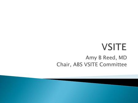 Amy B Reed, MD Chair, ABS VSITE Committee.  Vascular Surgery In-Training Examination  Developed by APDVS and ABS/VSB in 2007  First examination given.