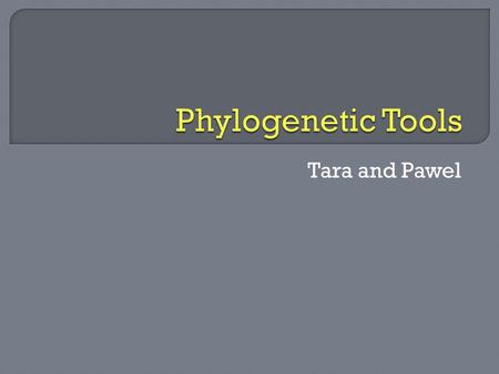 Tara and Pawel.  Download MEGA (Molecular Evolutionary Genetics Analysis) 