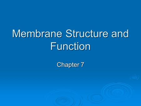 Membrane Structure and Function Chapter 7. Plasma Membrane  The boundary that separates the living cell from its nonliving surroundings.  Surrounds.