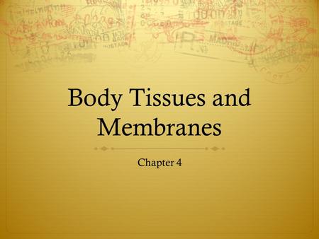 Body Tissues and Membranes Chapter 4. Lesson 1 Body Tissues.