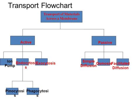 Transport of Materials