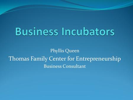 Phyllis Queen Thomas Family Center for Entrepreneurship Business Consultant.