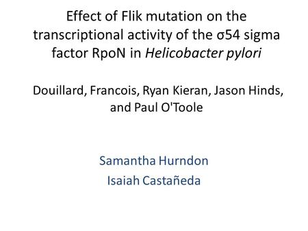 Effect of Flik mutation on the transcriptional activity of the σ54 sigma factor RpoN in Helicobacter pylori Douillard, Francois, Ryan Kieran, Jason Hinds,