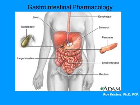 Gastrointestinal Pharmacology