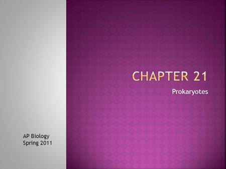 Prokaryotes AP Biology Spring 2011.  Domains the two domains of prokaryotes  Describe the unique characteristics of prokaryotes and their metabolic.